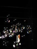 55_img2487.jpg
