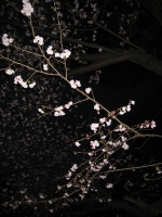 55_img3251.jpg